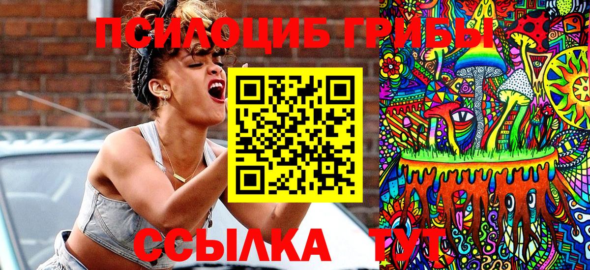 Псилоцибиновые грибы Psilocybine cubensis Всеволожск